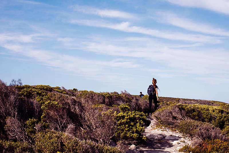 Remarkable Rocks-Right_800x534px