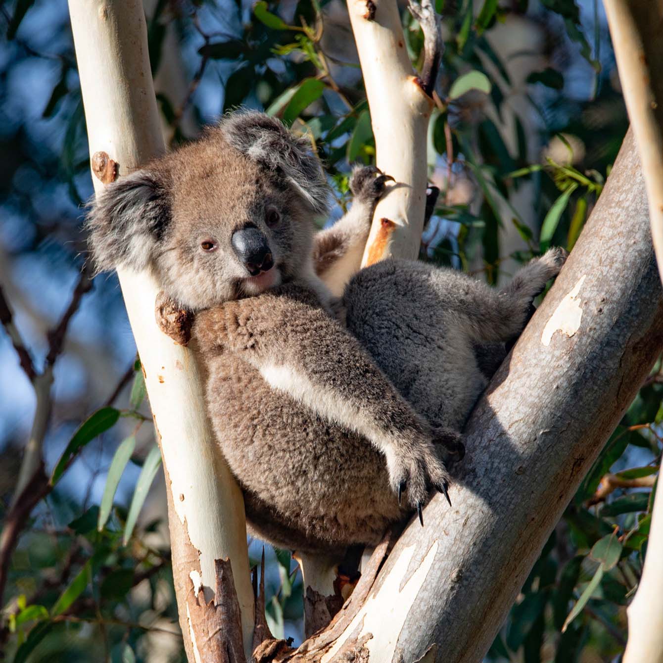 Bespoke experiences-Left