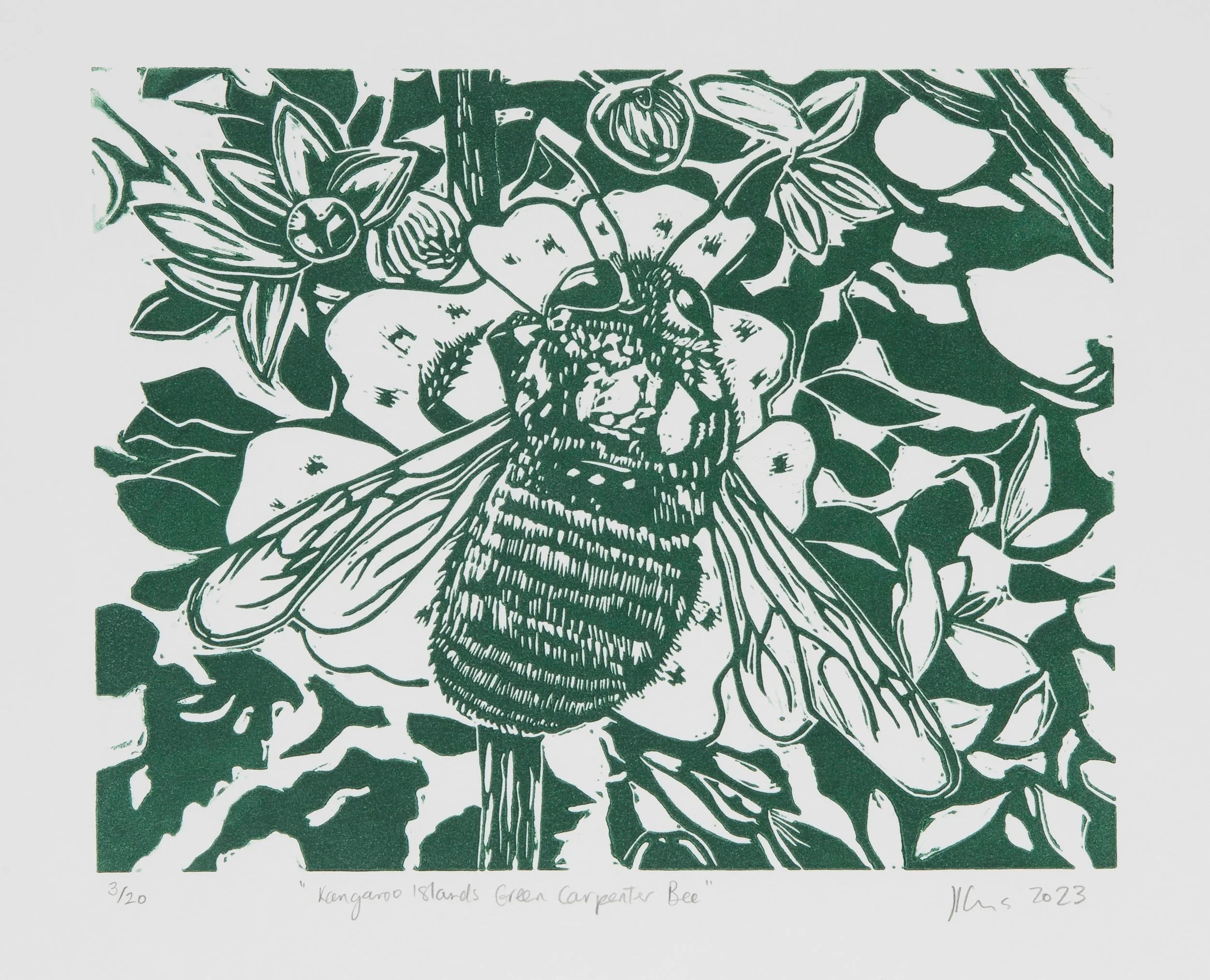 Jane Louise Evans 1560 x 1000