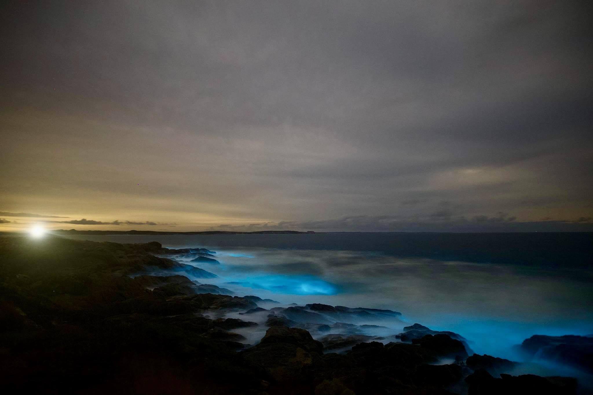 LindaIrwin_Photo 1560 x 1000